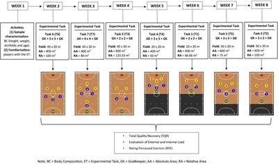 Space and players' number constrains the external and internal load demands in youth futsal
